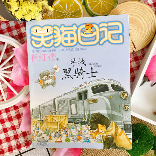 寻找黑骑士 商品图1