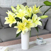 【周四团购】多头黄蜂百合5枝49.8元 2人拼团 商品缩略图2