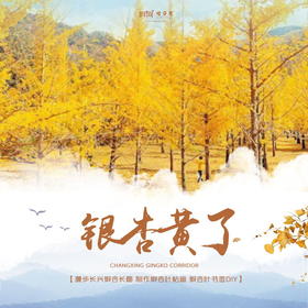 孩子志旅行 | 银杏黄了/// 银杏衬秋光，踏秋赏色来长兴银杏长廊、和孩子动手做一幅银杏叶贴画、树叶书签DIY，享受美好亲子时光，体验一场金色视觉盛宴！