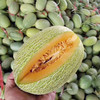 海南哈密‎瓜新鲜当季水果脆甜网纹蜜瓜原产地直发5-6斤、9-10斤装 商品缩略图5