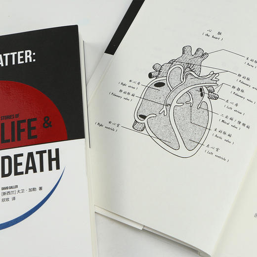 我们如何生，我们如何死（这是别人的生命选择，也是我们自己的身体故事 新西兰zhu名重症监护专家25年的行医笔记，实录人体生命系统垂危时刻） 商品图3