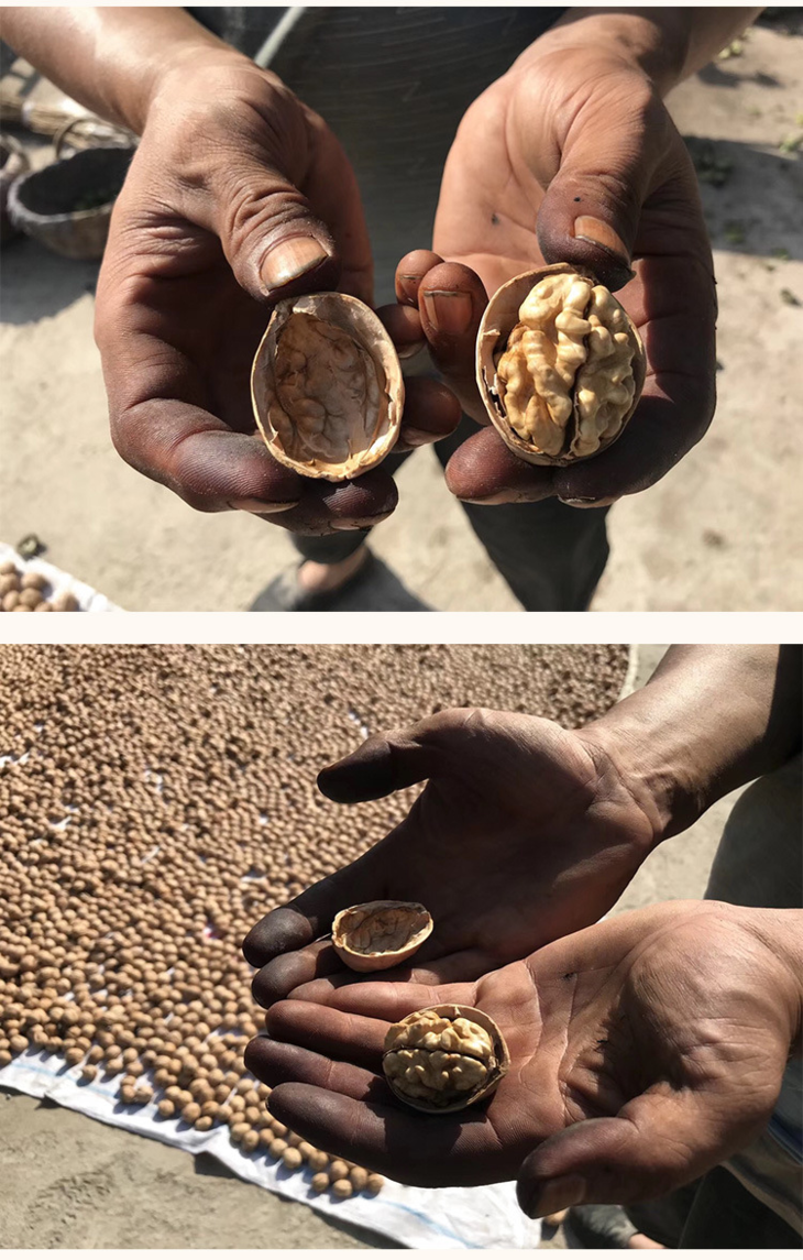 5斤包邮21年新疆精品大果纸皮核桃手捏坚果