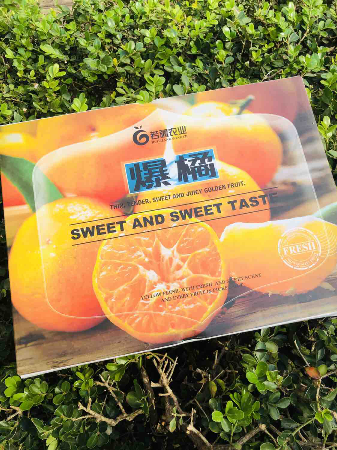 【东海爆橘】20年新货上架,肉嫩多汁,橘子味浓郁,几乎纯甜啦