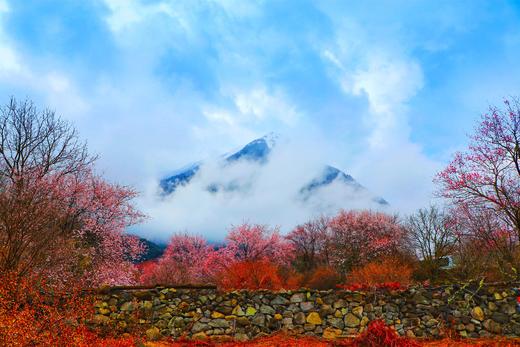 3月24日【滇藏·桃花醉】越野赏花新通道·香格里拉·波密林芝·墨脱11天摄影 商品图0