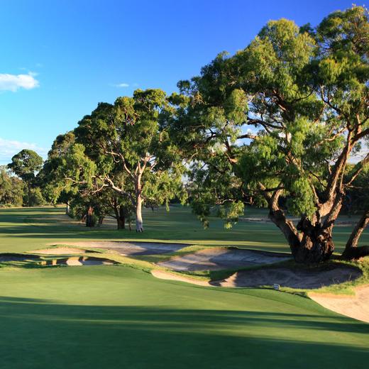维多利亚高尔夫俱乐部 Victoria Golf Club| 澳大利亚高尔夫球场 俱乐部 | 墨尔本高尔夫 商品图5