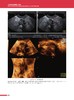 《子宫内膜异位症超声诊断》 商品缩略图3