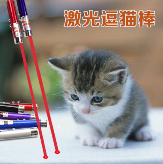 【新人专享】金多乐激光逗猫棒 商品图5
