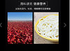 （代理专区湿粉）240g湿粉单包装 商品缩略图2