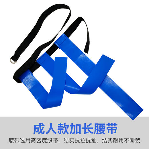 追逐飘带 揪尾巴趣味游戏感统训练道具 商品图1