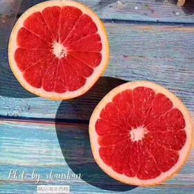 #小姐姐你想变瘦嘛？那么这款女神都爱的红西柚一定是必备的。 红心葡萄柚，高维生素C酸爽可口，夏日解暑佳品，酸酸甜甜。