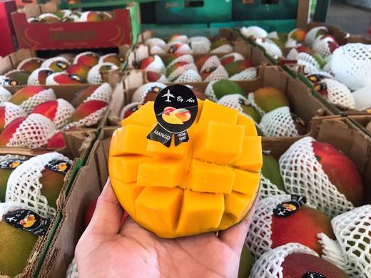 【秘鲁太阳芒】太阳芒具备了芒果的“香，甜，肉厚，无粗纤维”  ，每年到这个时候，最抢手的无非就是它了 商品图1