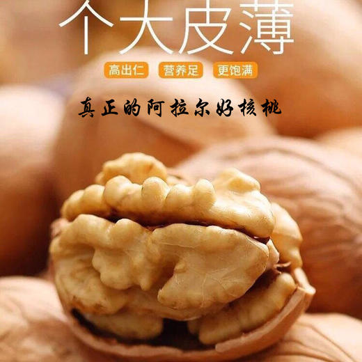 塔里姑娘薄皮核桃1斤-2斤 商品图1