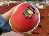 【秘鲁太阳芒】太阳芒具备了芒果的“香，甜，肉厚，无粗纤维”  ，每年到这个时候，最抢手的无非就是它了 商品缩略图6