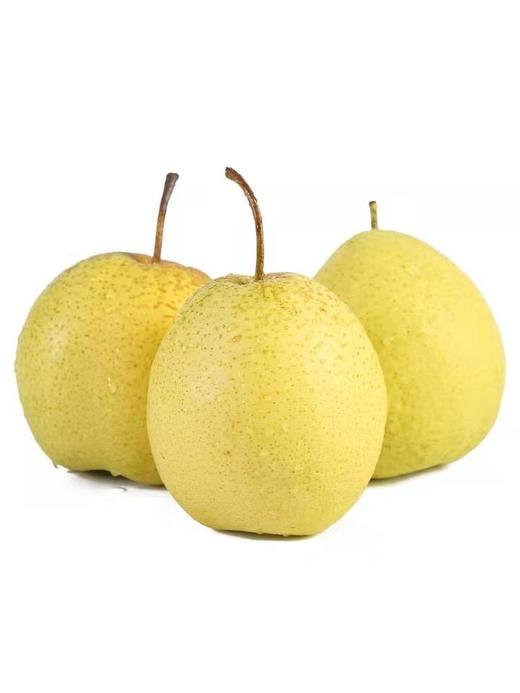 雪花梨 5斤 商品图0