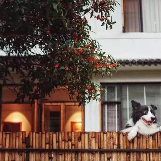 温州雁荡山   朴宿民宿丨3间包栋 商品图1