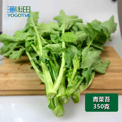青菜苔 商品图0