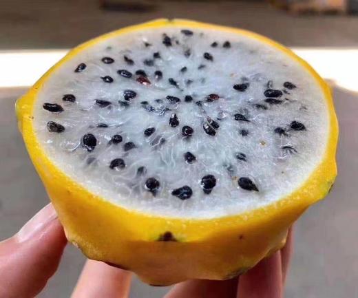 【燕窝果】果中土豪水晶肉质细致嫩如燕窝丝丝果肉清甜多汁 商品图2