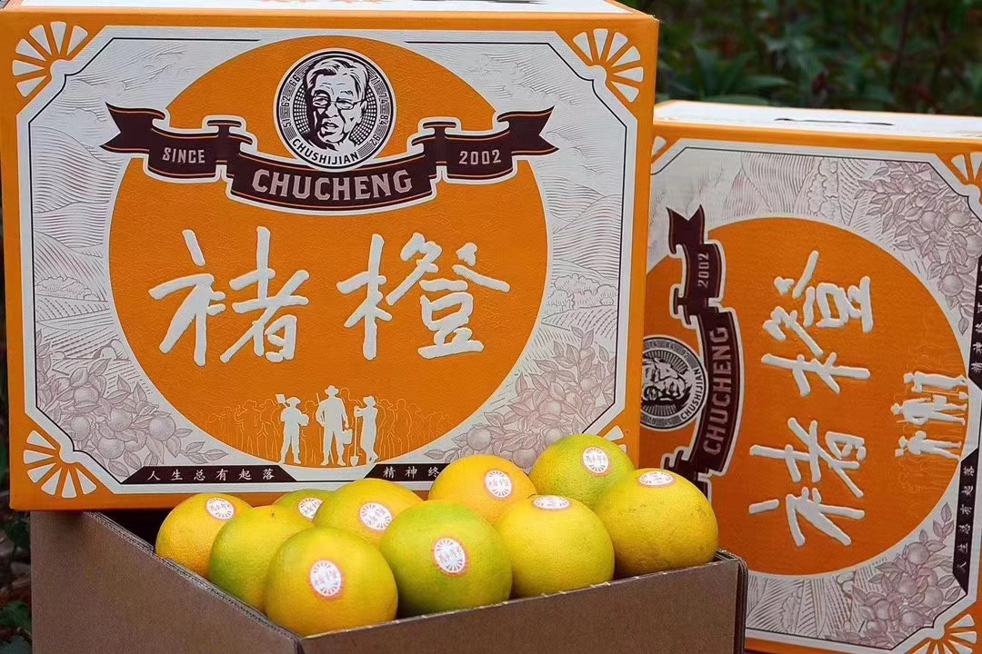 褚橙鲜嫩甜橙子界的口碑王一箱10斤装优级特级果