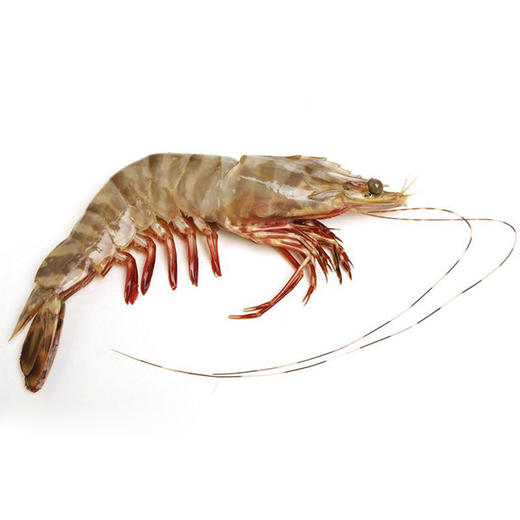 基围虾大（活)（提前24小时预订） 商品图1