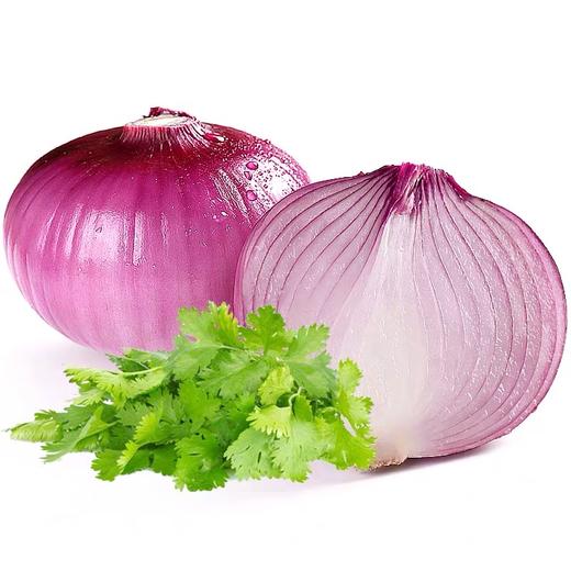 洋葱 商品图0