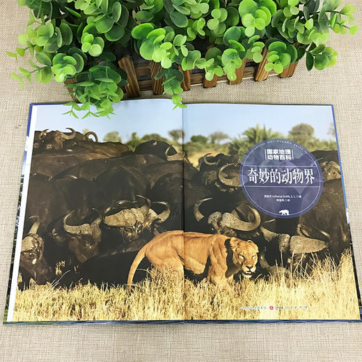 奇妙的动物界 商品图1