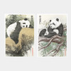 【中国印钞造币】联合国大熊猫钞艺画 商品缩略图2