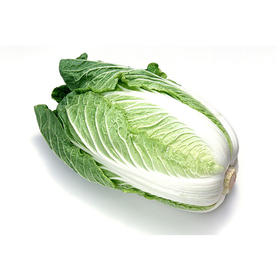 外地大白菜