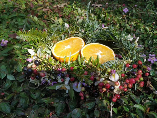 正当时，桐鲜生第六季正宗赣南脐橙，给你想要的维生C，产地现摘现发 商品图3