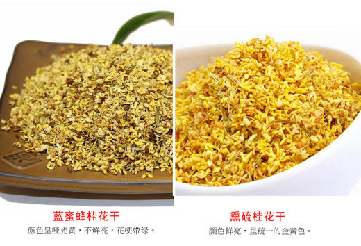 「蓝蜜蜂·花茶」金桂花 商品图3