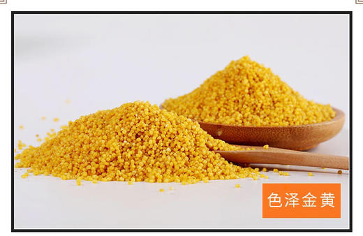 山西 小米 商品图2