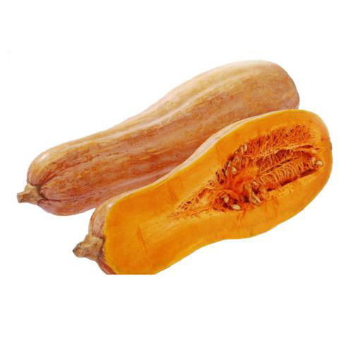 老南瓜 商品图0