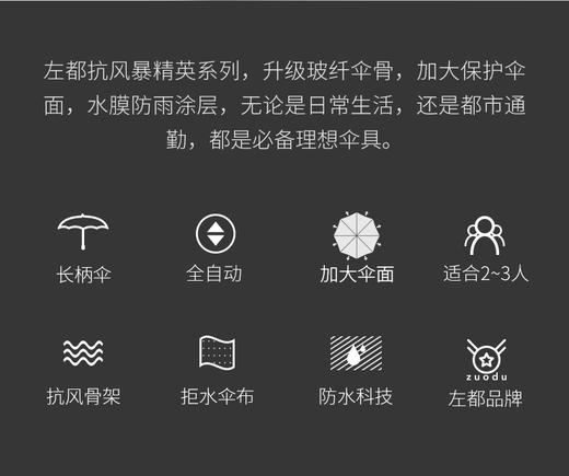左都抗风暴精英自动长柄伞系列 商品图1