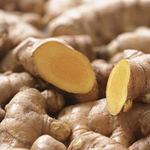 本地姜 商品图0