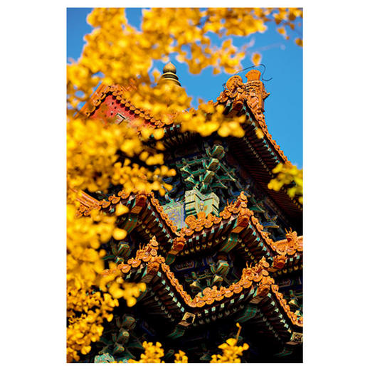 故宫600年挂历·2020庚子年  |  12处不同季节的故宫风景照，体现紫禁城600年的壮观景象。 商品图7