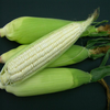 鲜玉米棒（剥皮） 商品缩略图0