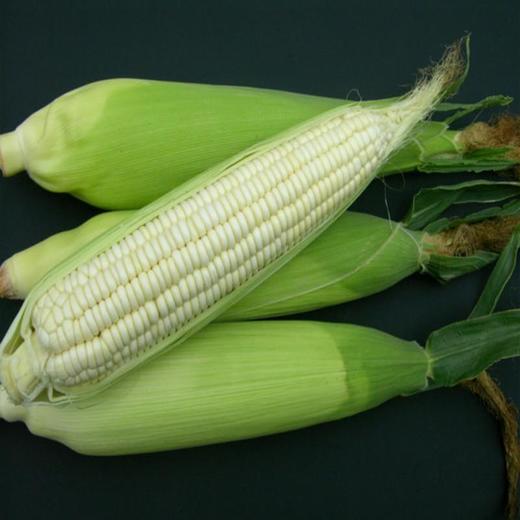 鲜玉米棒（剥皮） 商品图0