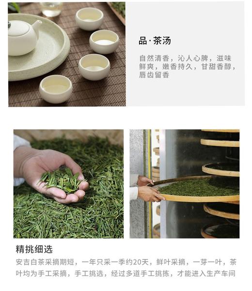 宋茗白茶 尚道金 3.3G*30包/盒    好茶好味道JPY带授权招加盟代理 商品图9