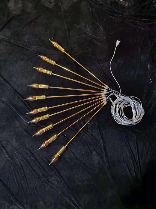 10头芦苇吊灯【运费自理】 商品图4