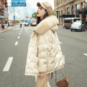 MIY-Y89807秋冬新款时尚白鸭绒真貉子毛领爆款外套