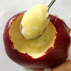 【甘肃老树花牛苹果】约5斤/箱，脆甜粉面，一果两吃