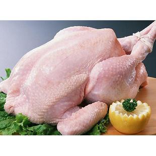 鸡肉 商品图0
