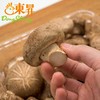 东升农场 鲜香菇  蘑菇 广州蔬菜新鲜配送300G 商品缩略图4