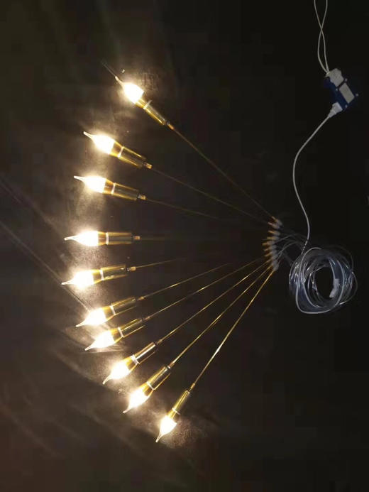 10头芦苇吊灯【运费自理】 商品图1