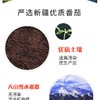 味唭哆 浓缩番茄泥 新疆出口 1袋380颗西红柿 满满番茄红素 10袋*36GJPY带授权招加盟代理 商品缩略图10