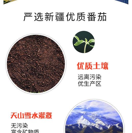 味唭哆 浓缩番茄泥 新疆出口 1袋380颗西红柿 满满番茄红素 10袋*36GJPY带授权招加盟代理 商品图10