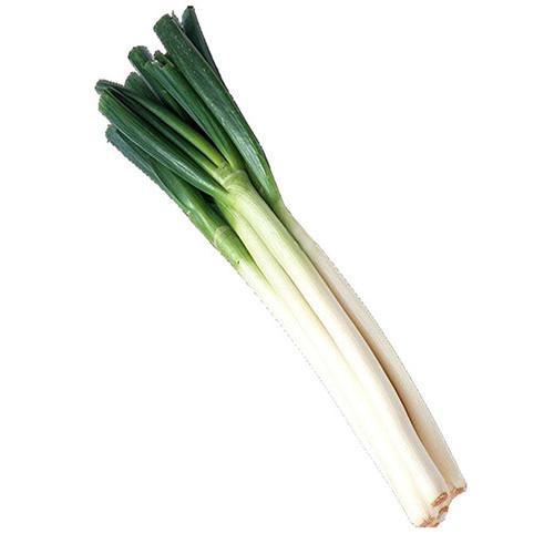 大葱 商品图0