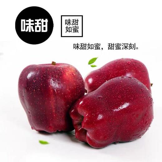 【甘肃老树花牛苹果】约5斤/箱，脆甜粉面，一果两吃 商品图2
