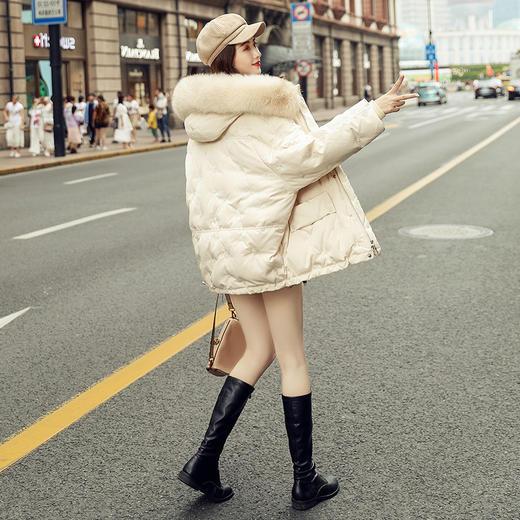 MIY-Y89807秋冬新款时尚白鸭绒真貉子毛领爆款外套 商品图3