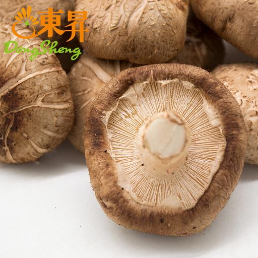 东升农场 鲜香菇  蘑菇 广州蔬菜新鲜配送300G 商品图2