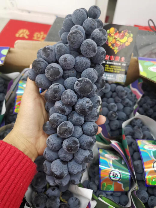 宏丰精选西域香妃玫瑰香黑提口感香甜基本甜